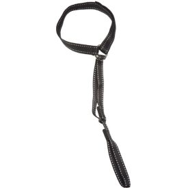 Fritschi Diamir szökevénypánt