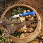 Opinel No.07 My First Opinel zsebkés