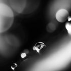 Grangers Wash+Repel Down 2in1 mosó- és impregnálószer 300 ml