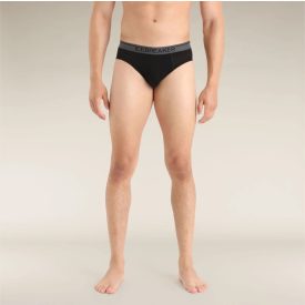 Icebreaker Anatomica Briefs férfi gyapjú alsó