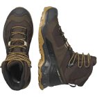 Salomon Quest Element GTX férfi túrabakancs