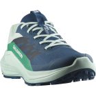 Salomon Alphaglide férfi terepfutó cipő