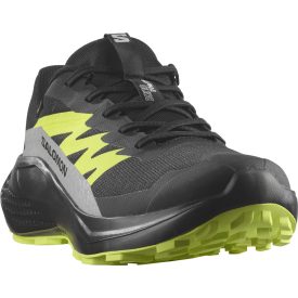 Salomon Alphaglide GTX férfi terepfutó cipő