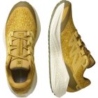 Salomon Aero Glide 3 GRVL férfi futócipő