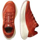 Salomon Aero Glide 3 GRVL női futócipő