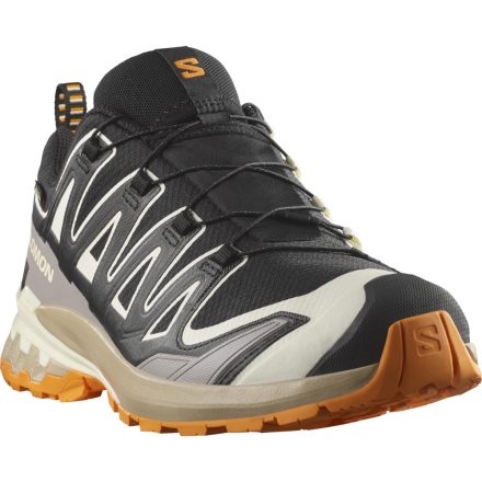 Salomon XA Pro 3D V9 GTX férfi terepfutó cipő