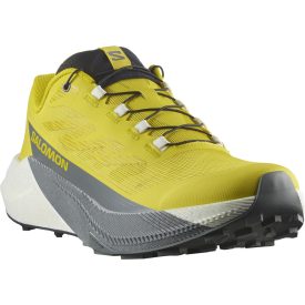 Salomon Pulsar férfi terepfutó cipő