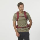 Salomon Trailblazer 30 hátizsák