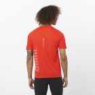 Salomon Sense Aero SS Tee GFX férfi futópóló