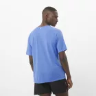 Salomon ShakeOut Core SS Tee férfi technikai póló