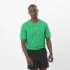 Salomon ShakeOut Core SS Tee férfi technikai póló