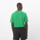 Salomon ShakeOut Core SS Tee férfi technikai póló