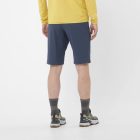 Salomon Wayfarer Shorts férfi túra rövidnadrág