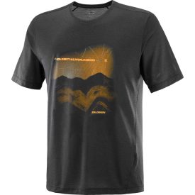 Salomon ShakeOut Core GTS SS Tee férfi futópóló