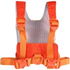 LittleLife biztonsági gyerekhám szárral 